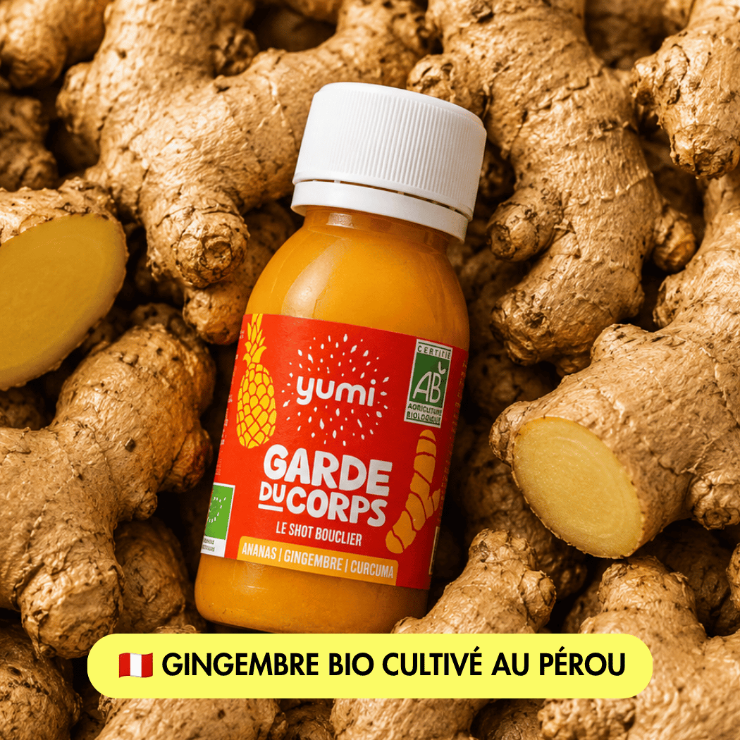 Coffret de shots de curcuma & gingembre : Garde du Corps