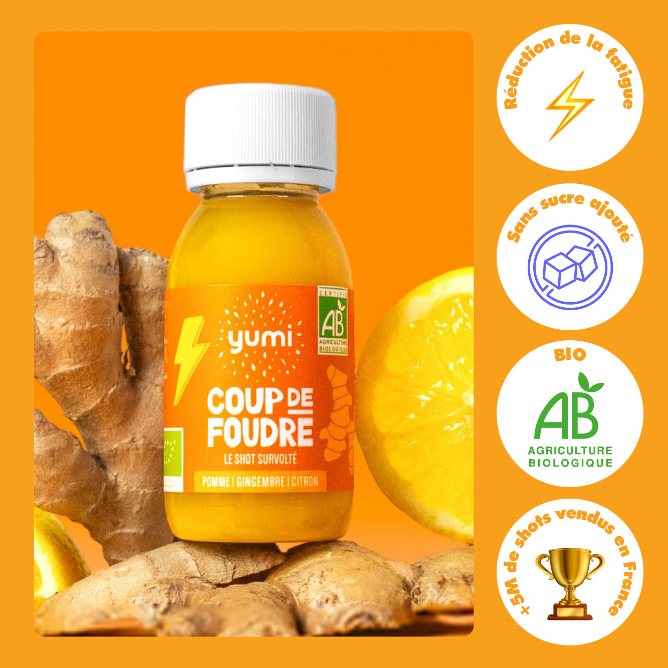 Coffret de shots de gingembre : Coup de Foudre