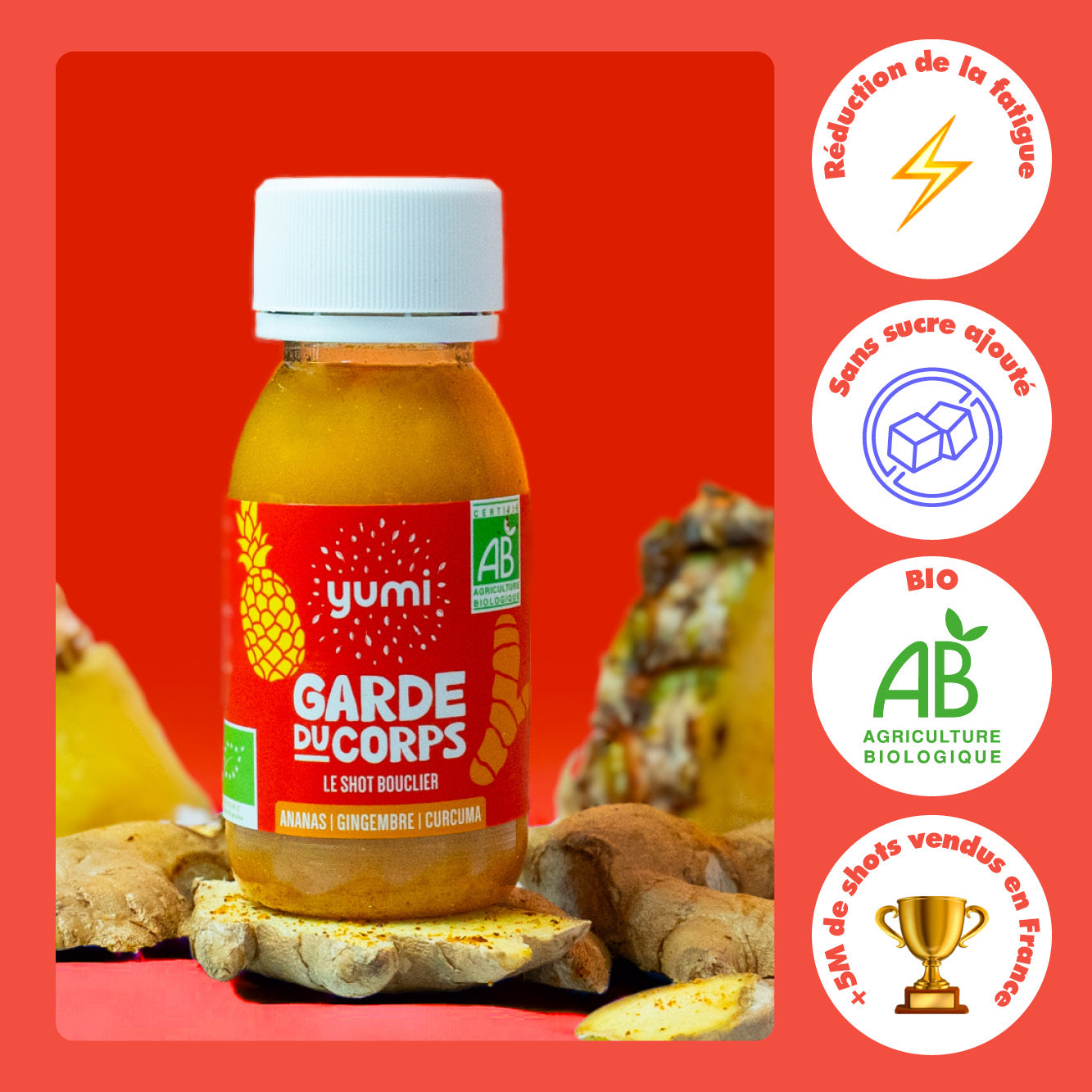 Coffret de shots de curcuma : Garde du Corps