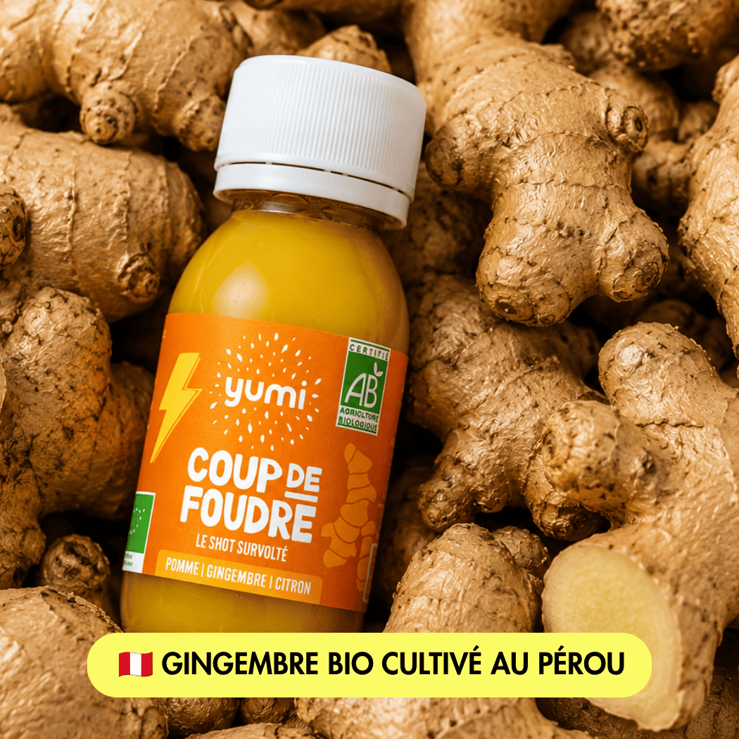 Coffret de shots de gingembre (18%) : Coup de Foudre
